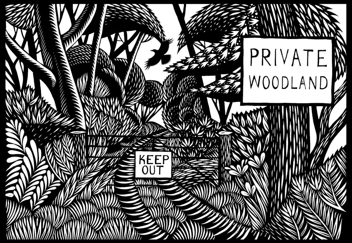 RtR Newsletters / Blog